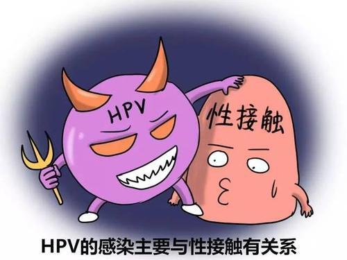 女性外阴尖锐湿疣的危害是什么【厦门广肤皮肤病专科医院好不好】